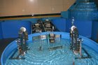 img_3102.jpg
