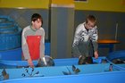 img_3106.jpg