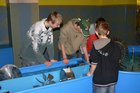 img_3107.jpg