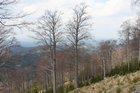 img_3233.jpg