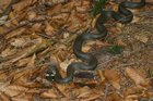 img_3240.jpg