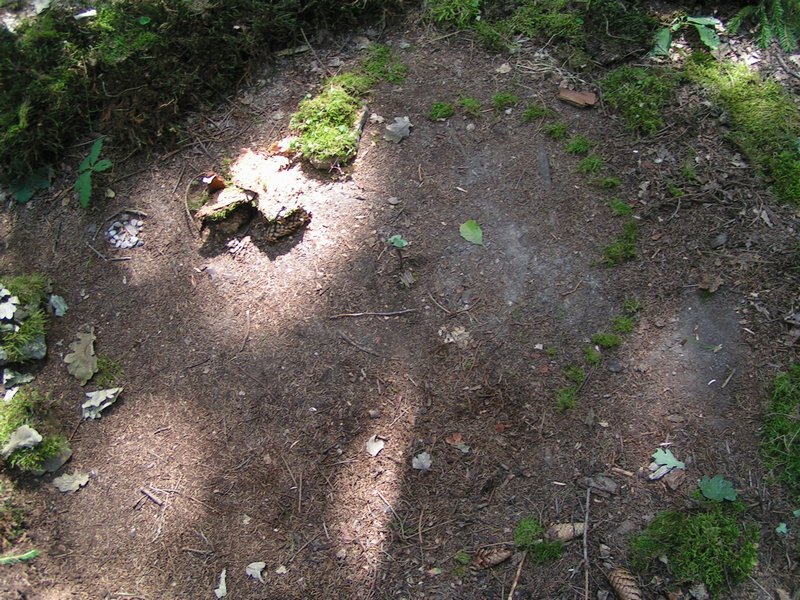 pict5250.jpg