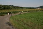 img_7532.jpg