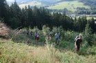 img_7534.jpg