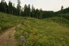img_7542.jpg