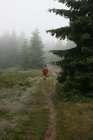 img_7578.jpg
