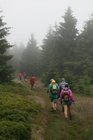 img_7581.jpg