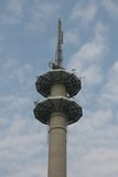 img_1501.jpg
