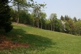img_1511.jpg