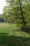 img_1517.jpg