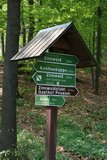 img_1518.jpg