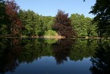 img_1553.jpg