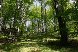 img_1663.jpg
