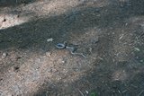 img_1669.jpg