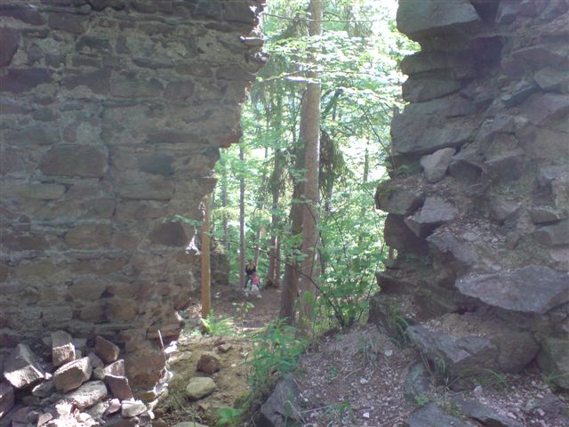 dsc00859.jpg