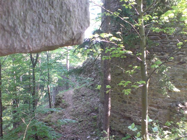 dsc00865.jpg