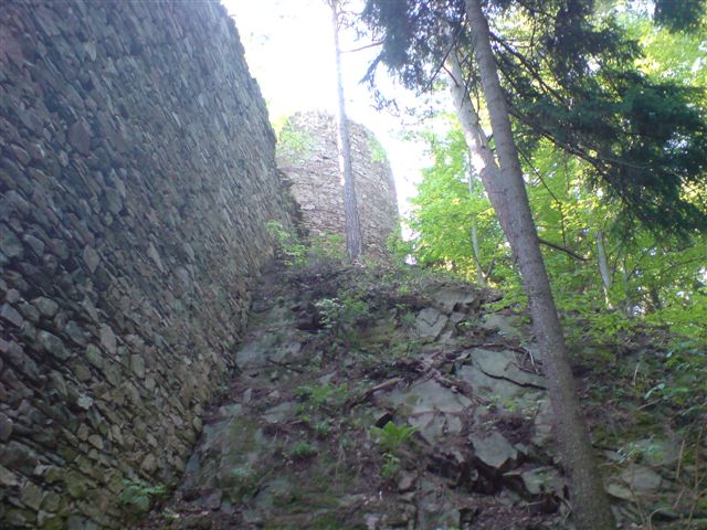 dsc00868.jpg