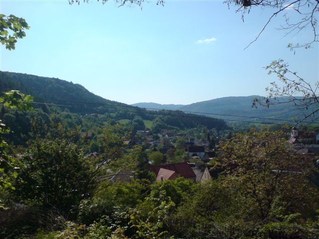 dsc00870.jpg