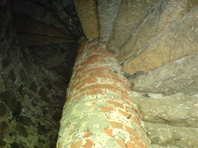 dsc00895.jpg