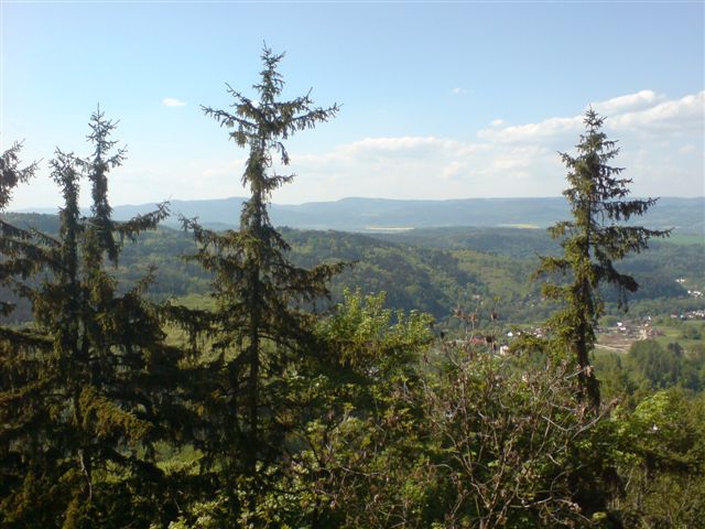 dsc00899.jpg