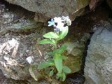 dsc00863.jpg