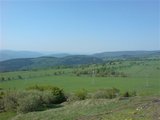 dsc00875.jpg