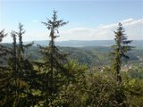 dsc00899.jpg