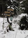img_0296.jpg