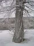 img_0321.jpg