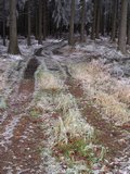 img_0341.jpg