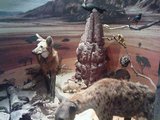 dsc00447.jpg