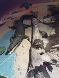 dsc00449.jpg