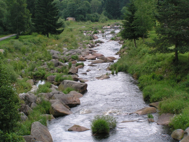 pt_013.jpg