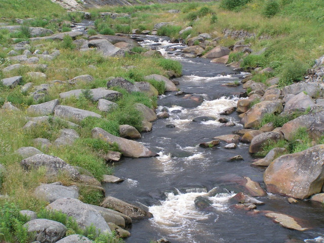 pt_014.jpg