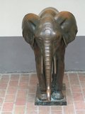 pt_016.jpg