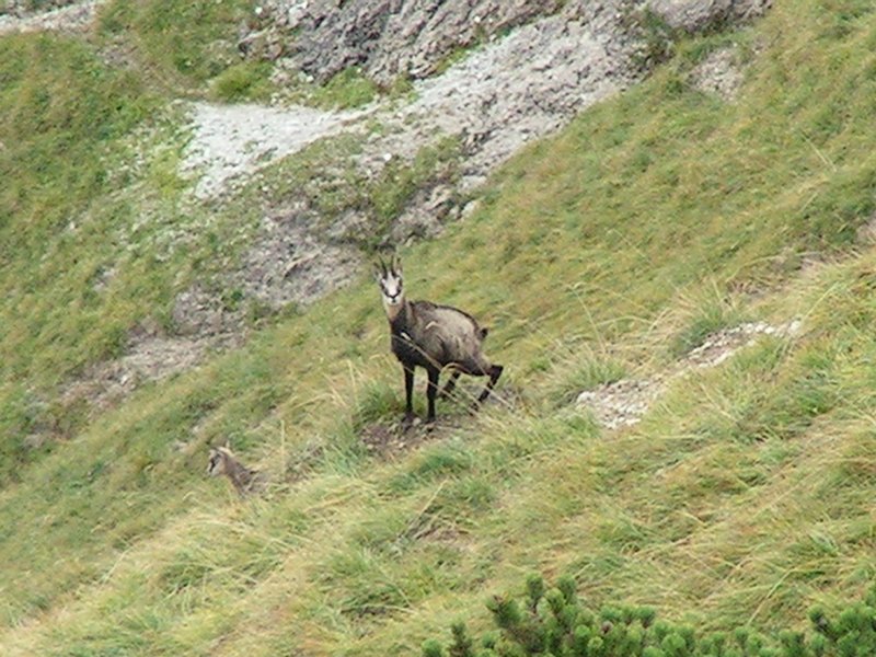 rakousko_08.jpg