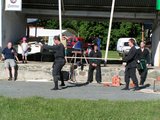 pionyri_26.jpg