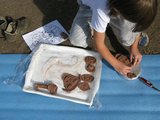 lpt2009_15.jpg