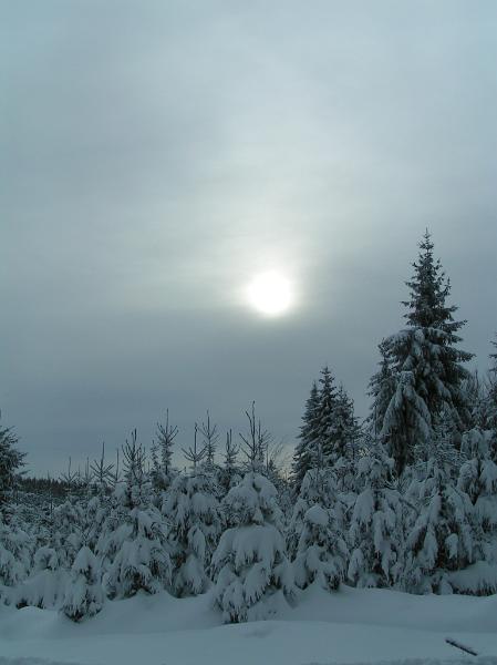 PICT9397.JPG