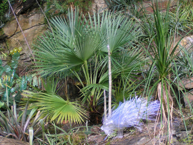 pict7602.jpg