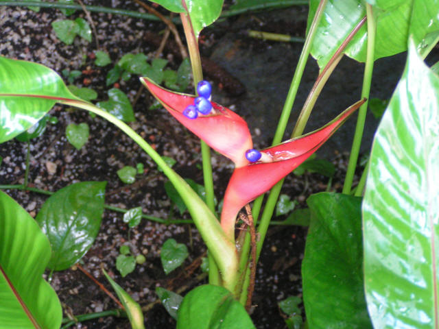 pict7616.jpg
