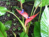 pict7616.jpg