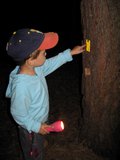 img_5163.jpg