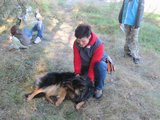 img_0977.jpg