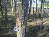 img_0980.jpg