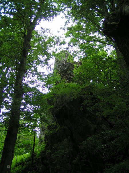 pict8535.jpg
