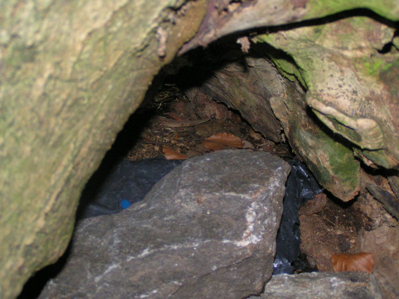 pict8539.jpg