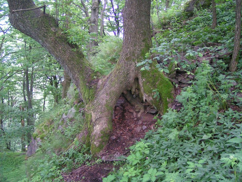 pict8540.jpg