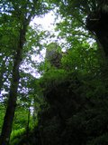 pict8535.jpg