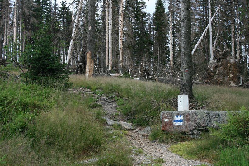 img_7270.jpg